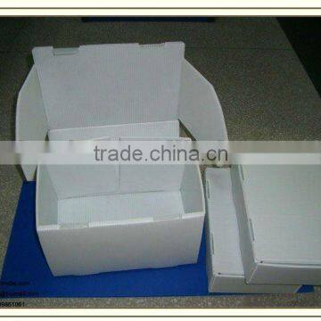 Foldable pp Corrugated Archive Box,file Box,documents Box