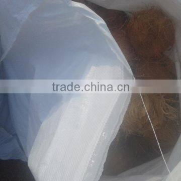 Popular Buying Requests Semi Husked Cocounts photo-2