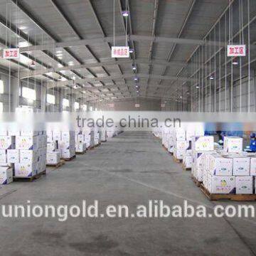 Fresh Pear Golden Pear photo-5