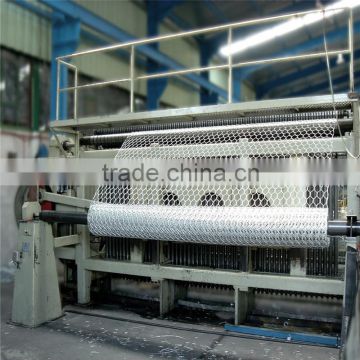 hot galvanizing poultry netting with CE certificate