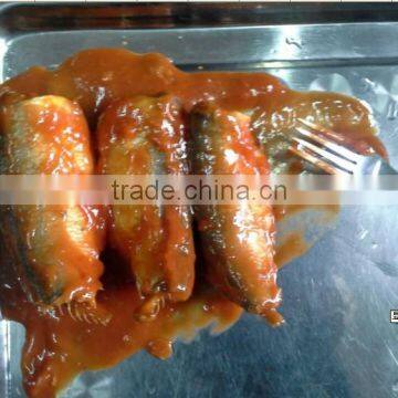 Canned sardine with tomato sauce oval