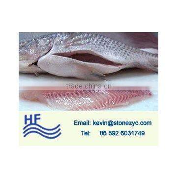 Frozen fresh gutted scaled whole tilapia for sale