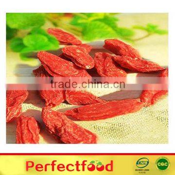 Dried Goji Berry Supplier photo-2