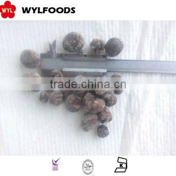 IQF frozen summer truffle high quality good price