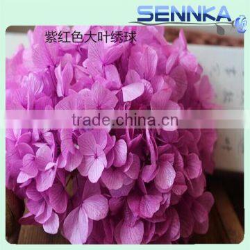 Fresh Preserved Hydrangeas wedding table centerpieces in Purple Color