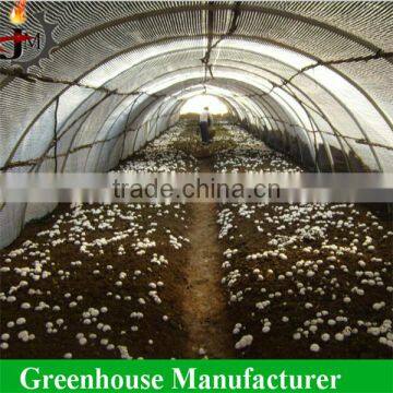 Economical Agricultural Mushroom Used Film Greenhouse photo-2