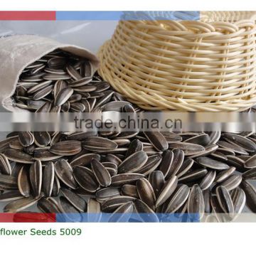 2016 new crop raw processing type sunflower seeds in shell