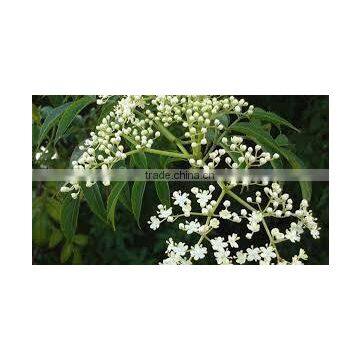 Neem Seed Oil photo-2