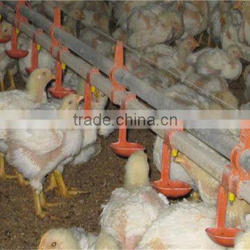 automatic chicken watering equipment