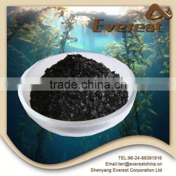 Strong Disease Resistance Factory Price 100% Water Soluble seaweed extract flake