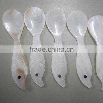 High quality spoon, spoon safe for food, seashell spoon