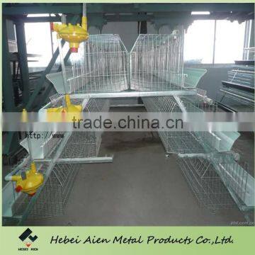 metal mesh design layer chicken cages