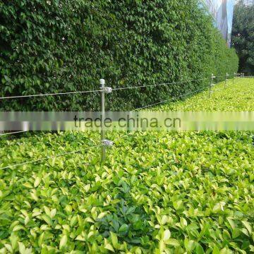 Factory Price Electrostate Indusion Security Electric Fence System Electric Fence Energizer and Alarm photo-6