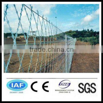 wholesale alibaba China CE&ISO certificated straight line razor barbed wire(pro manufacturer)