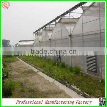 Low Cost Arched Type Multi-span Vegetable Greenhouses With Hydroponics System photo-2