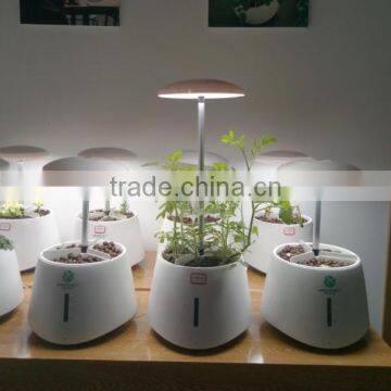 Best Seller Creative Promote Plant Growth LED Grow Light , photo-3