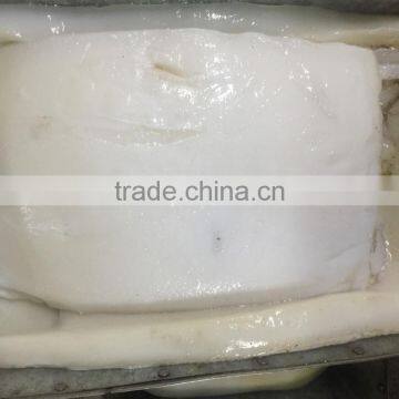 Frozen Peru Dosidicus Gigas Giant Squid Fillet photo-2