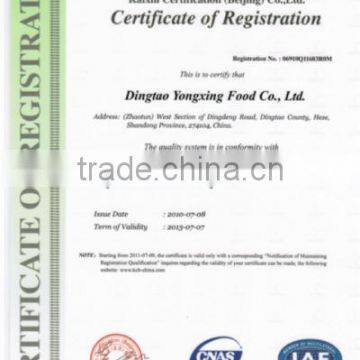 ISO Certificate in English Version