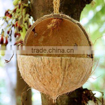 V CUT COCONUT SHELL FOR BIRD FEEDERS