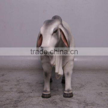 Definitive Brahman Looking Right photo-2