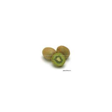 Sell Kiwifruit