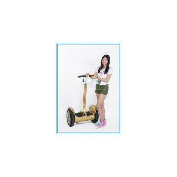 China new product 2 wheel electric scooter electric green power