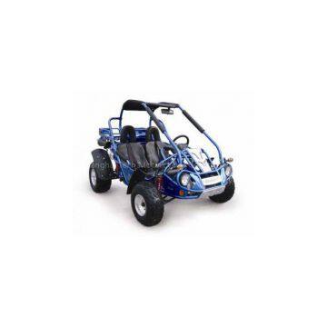 Hammerhead GTS 250 Dune Buggy photo-2