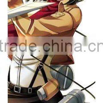 Fancy Girls Pattern Decorative Wall Attack On Titan Anime Wallscrolls