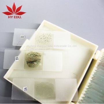 24pcs Wooden Slides Geography Rock Microscope Slides Specimen