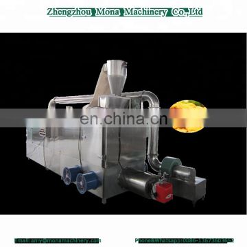 Automatic Gas/Multi-layer Conveyor Mesh Belt Dryer/tunnel food drying oven /machine for fruit and vegetable dry