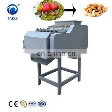 Cashew Processing Machine Shelling photo-6