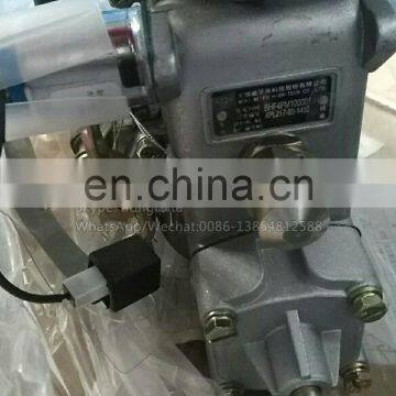 BHF4PM100001 For Yangchai YZ4102ZLQ Weifu Original Fuel Pump 4PL1156 2100252 photo-2