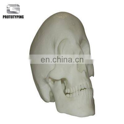 3d SLA SLS Artificial Skeleton Model Service photo-2