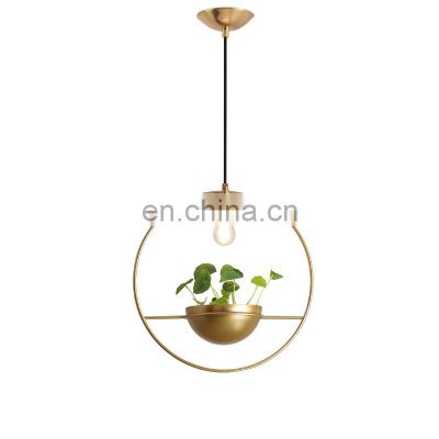 Modern personality simple plant round led pendant light for decorate