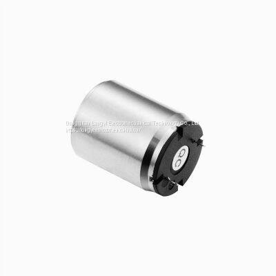 Replace Maxon Faulhaber 3v 12v Coreless Brush Magnetic dc Motor for Tatoo Machine Pump and Robots and Medical Equipment photo-2