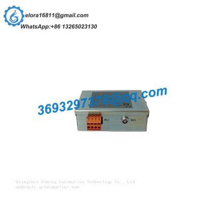 ICS TRIPLEX T8314 Safety controller