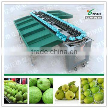 Guava sorting machine/Fruit sort machine factory