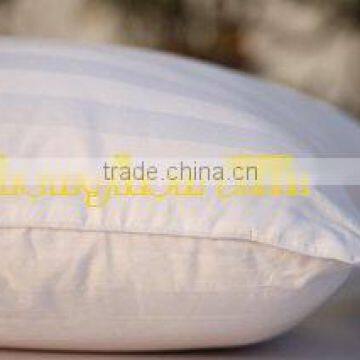 pure silk pillow with 300TC cotton cover