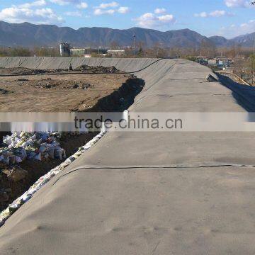 HDPE Geomembrane Liner photo-4