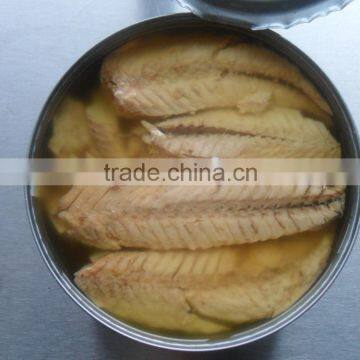 Canned Mackerel in soybean Oil