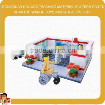 enlighten medical bricks toys model