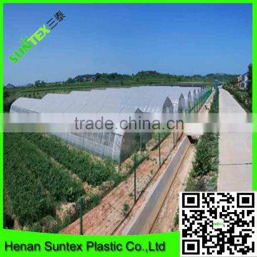 uv Protection Anti Fog Greenhouse Cover Film for Multi-span Vegetable Planting photo-6
