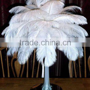 Party favor Wholesale white ostrich feathers