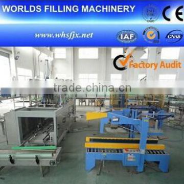 Bottle Carton Packaging Machine