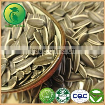 Chinese White Sunflower Seeds With High Quality