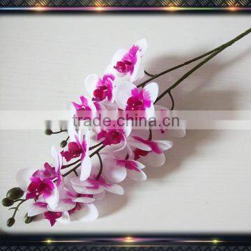 latex real touch flower orchid