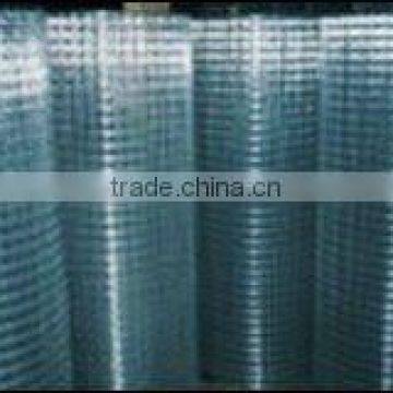 Welded Wire Mesh6