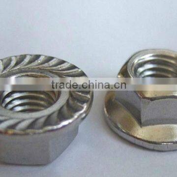 Hexagon Nuts with Flange