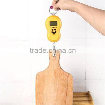 Hot Sell High Precision Fish Scale With Hook