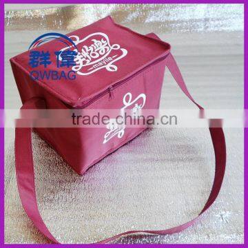OEM Produce Perfect Insulating Effect Cooler Bag photo-3